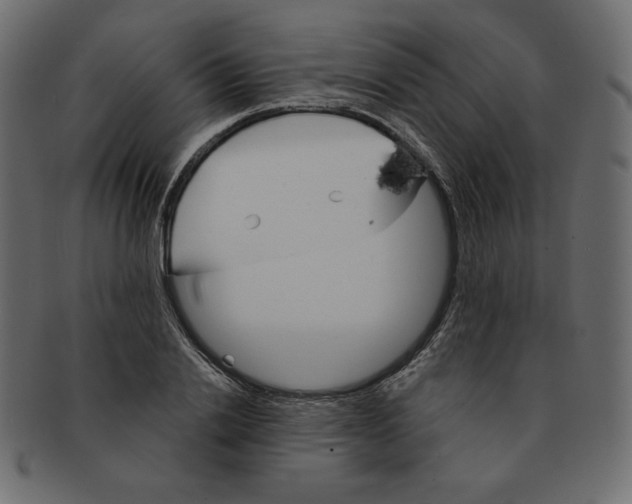 X0000091370838200709071324