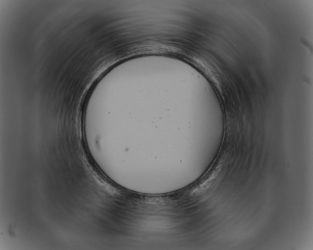 X0000091370843200709071324