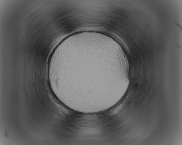 X0000091370844200709071324