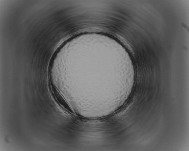 X0000091370845200709071324