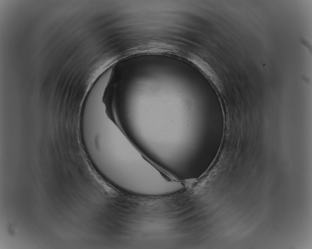 X0000091370850200709071324