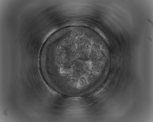 X0000091370853200709071324