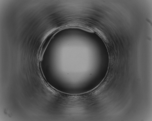 X0000091370854200709071324