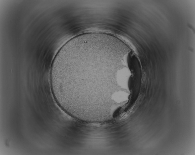 X0000091370855200709071324