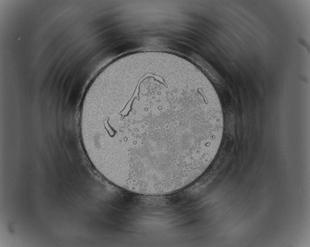 X0000091370856200709071324