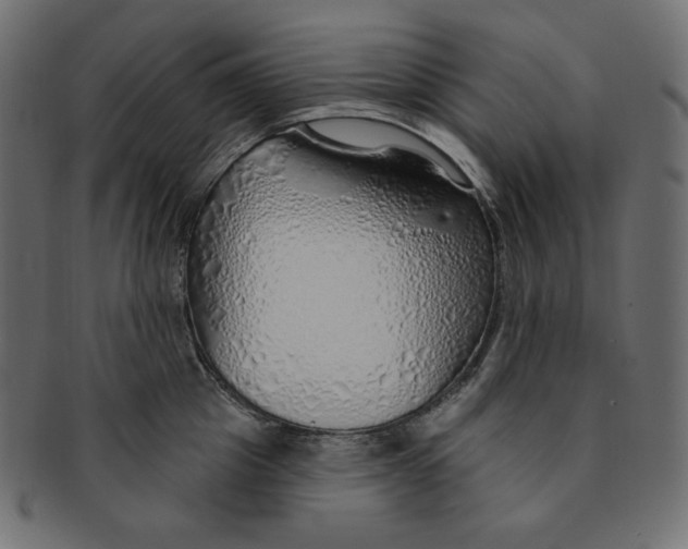 X0000091370857200709071324