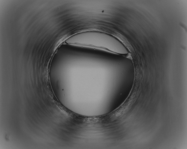 X0000091370858200709071325