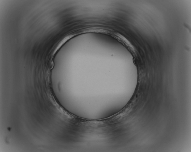 X0000091370860200709071325