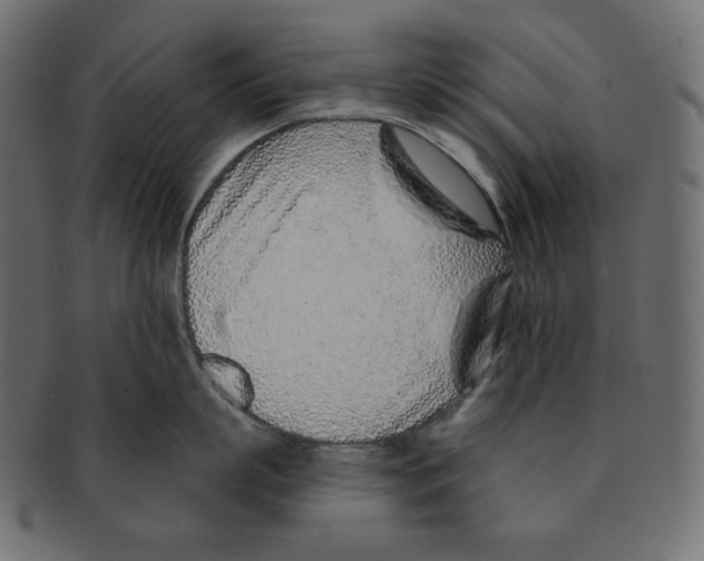 X0000091370863200709071325