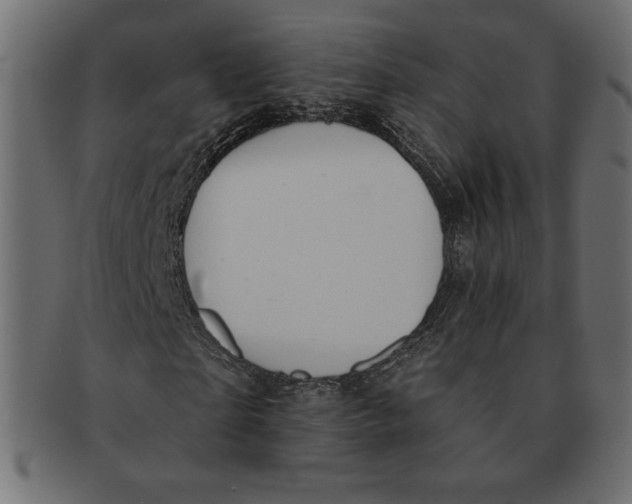 X0000091370865200709071324