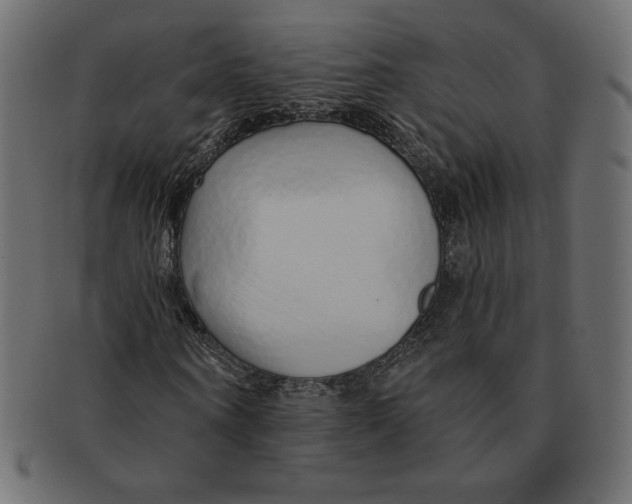 X0000091370866200709071324