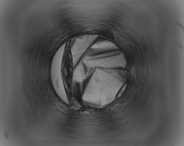 X0000091370868200709071324