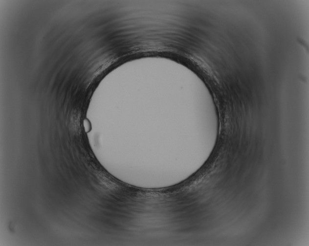 X0000091370873200709071324