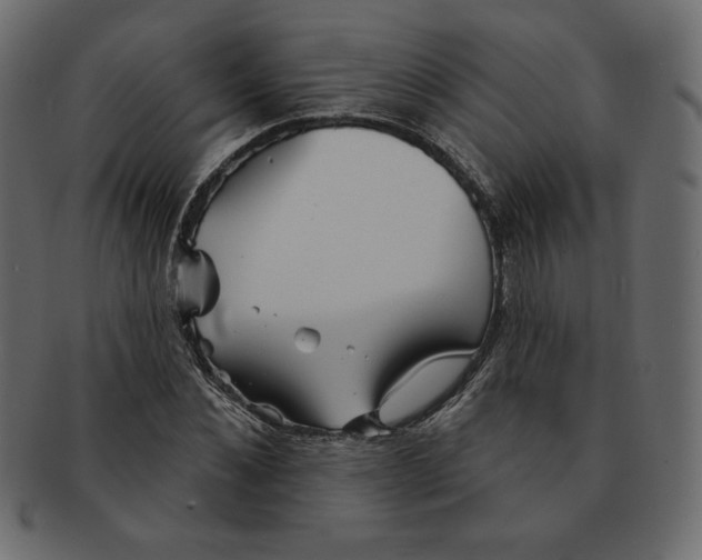 X0000091370876200709071324