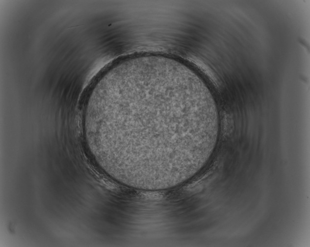 X0000091370878200709071324