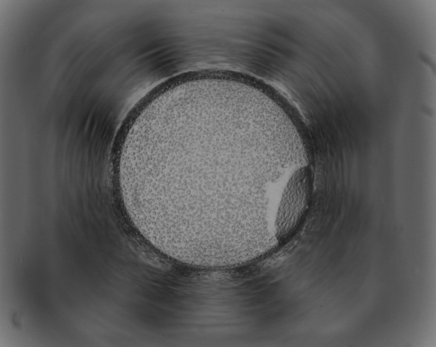 X0000091370879200709071324