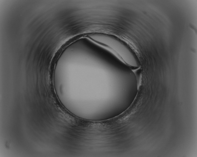 X0000091370880200709071324