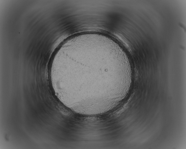 X0000091370883200709071324