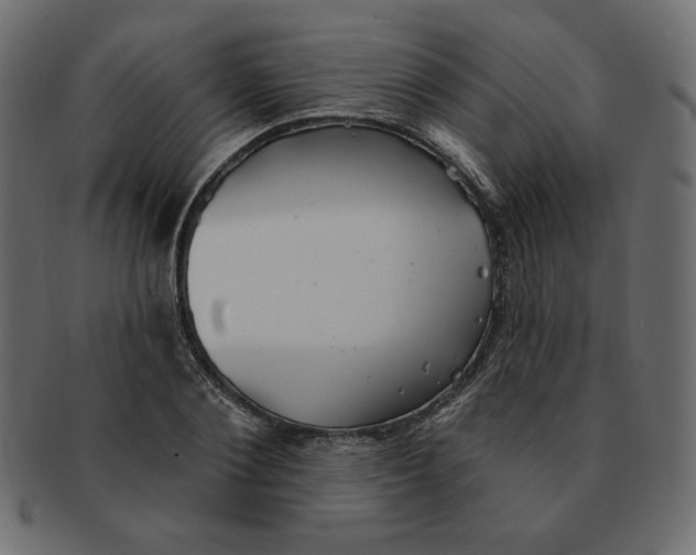 X0000091370884200709071324