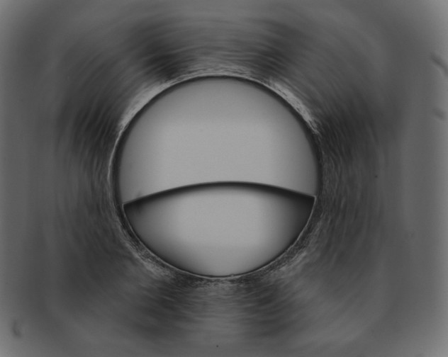 X0000091370885200709071324