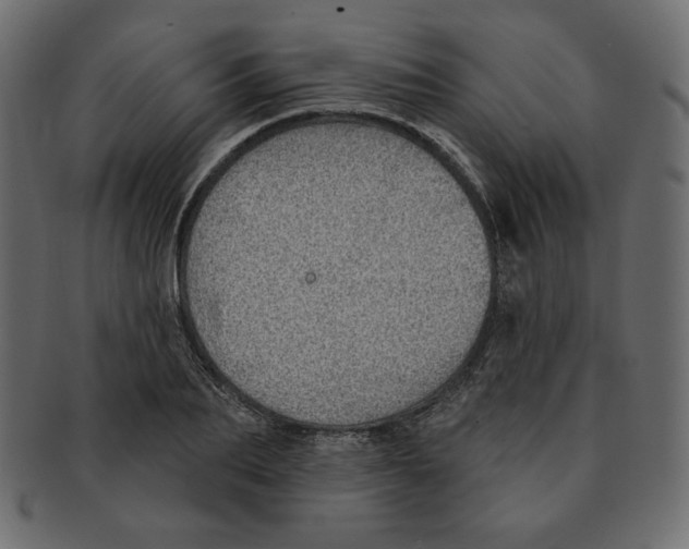 X0000091370887200709071324