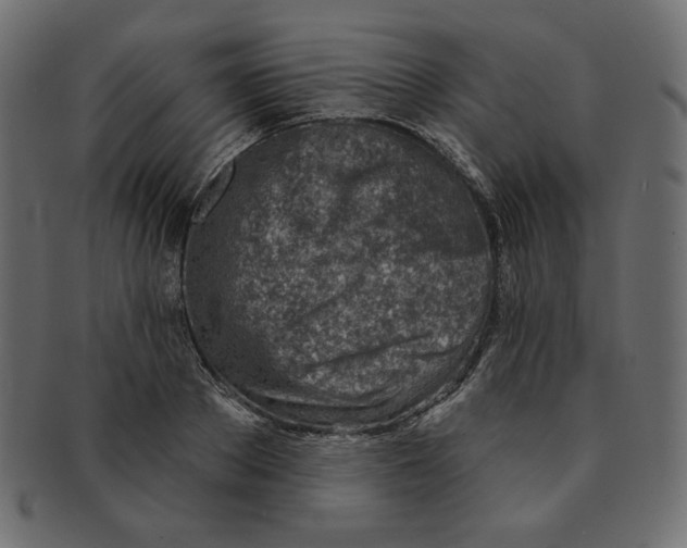 X0000091370889200709071324