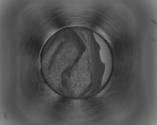 X0000091370892200709071324