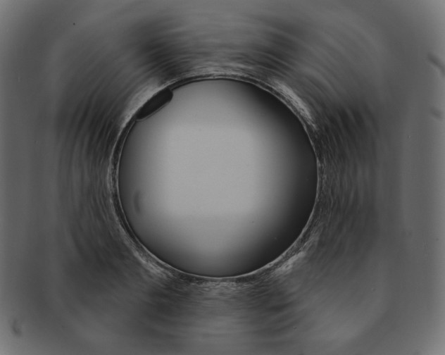 X0000091370893200709071324