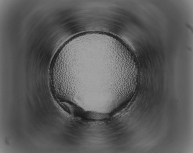 X0000091370895200709071324