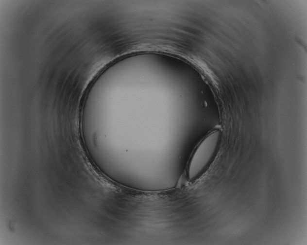 X0000091370896200709071324