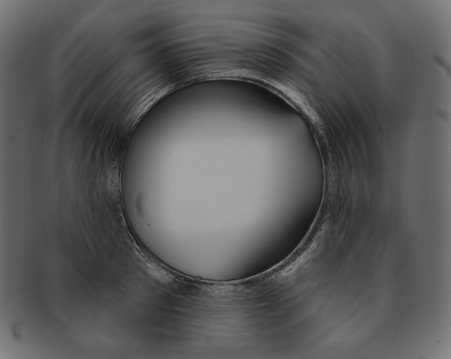 X0000091370897200709071323