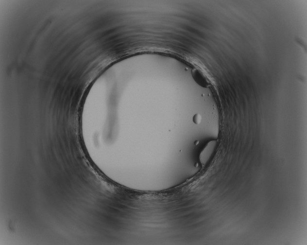 X0000091370898200709071323