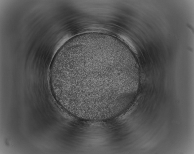 X0000091370899200709071323