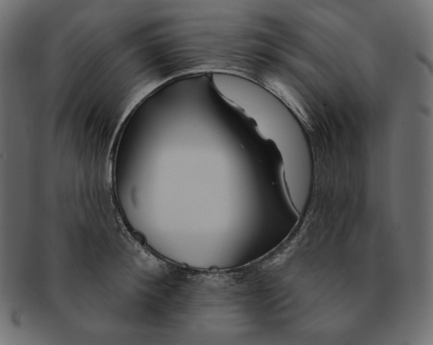 X0000091370900200709071323