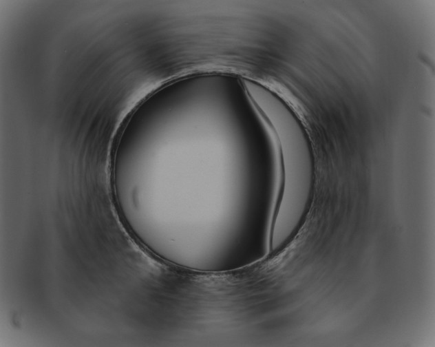 X0000091370902200709071323