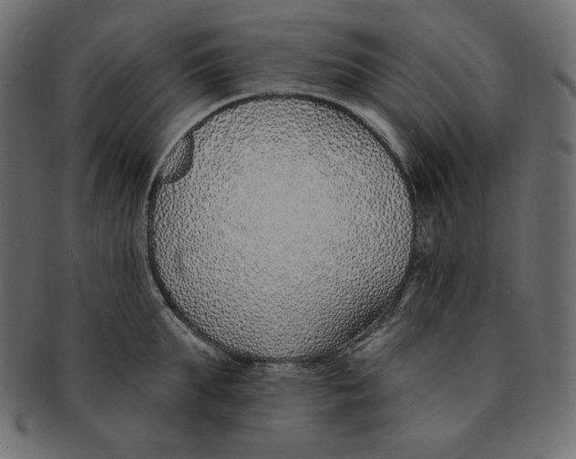 X0000091370903200709071323