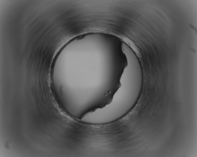 X0000091370904200709071323