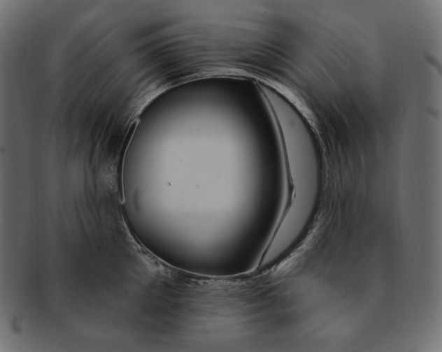 X0000091370905200709071323