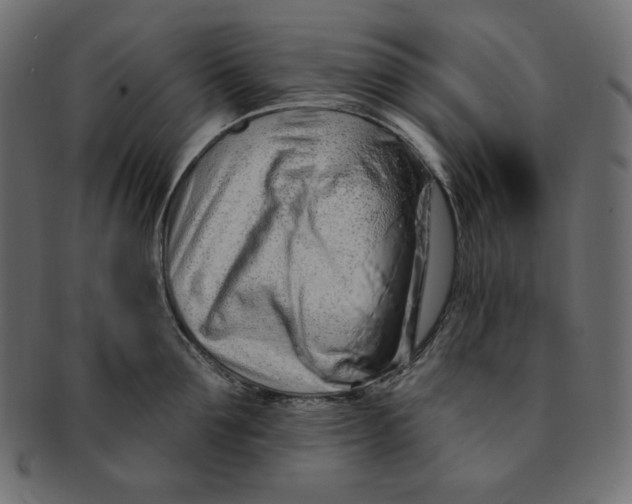 X0000091370907200709071323