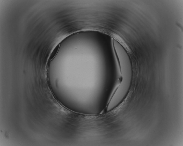 X0000091370908200709071323