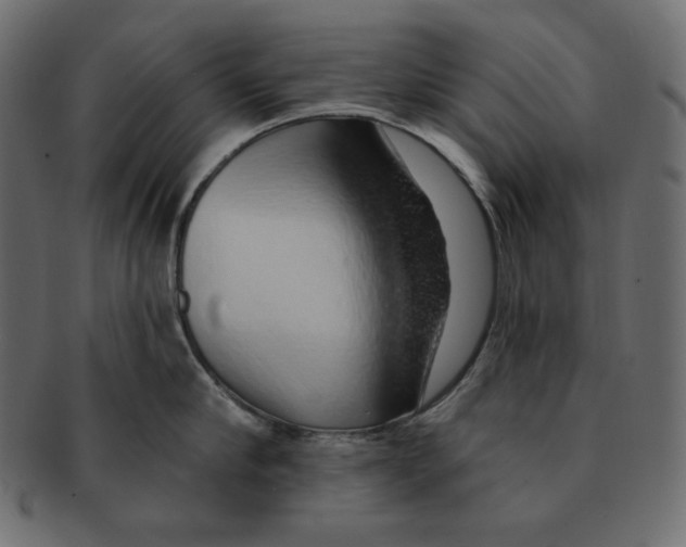 X0000091370910200709071323