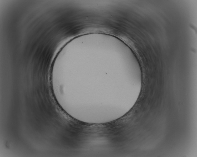 X0000091370912200709071323