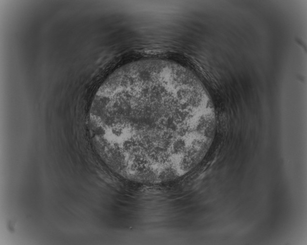 X0000091370913200709071322