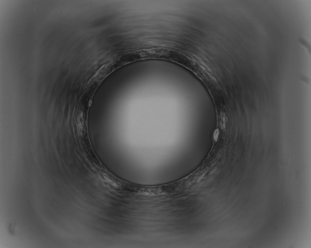 X0000091370915200709071322