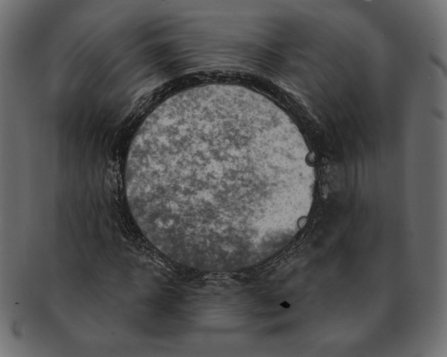 X0000091370918200709071322