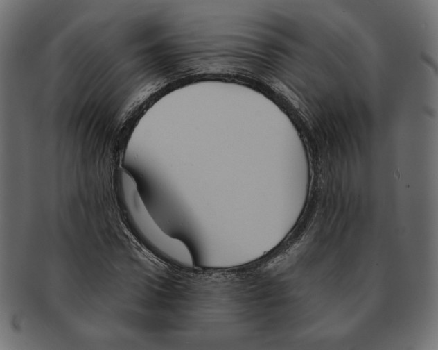 X0000091370922200709071322