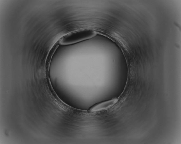 X0000091370924200709071322