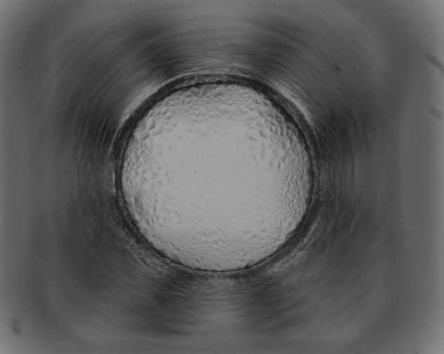 X0000091370925200709071322