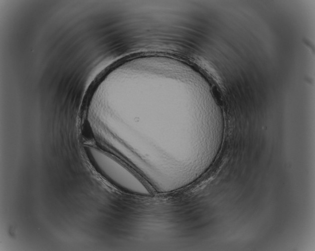 X0000091370928200709071322