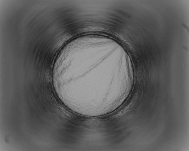 X0000091370929200709071323